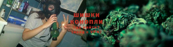 apvp Арсеньев