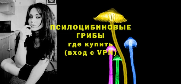 apvp Арсеньев