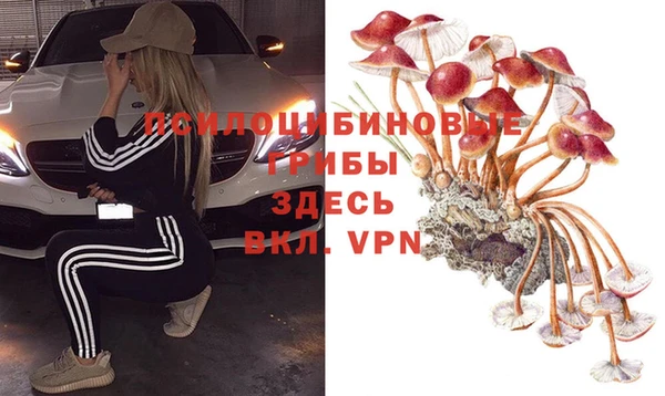 apvp Арсеньев
