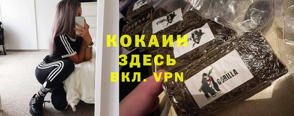 прущие грибы Лабытнанги